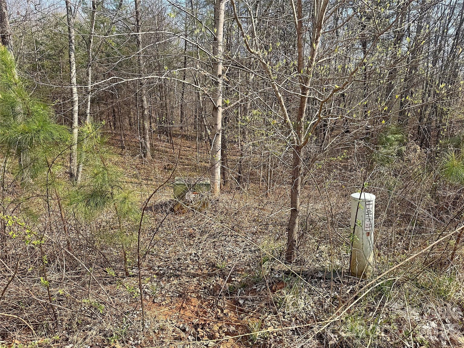 Amberwood Pl #17 Rutherfordton, NC 28139 - Thumbnail 4