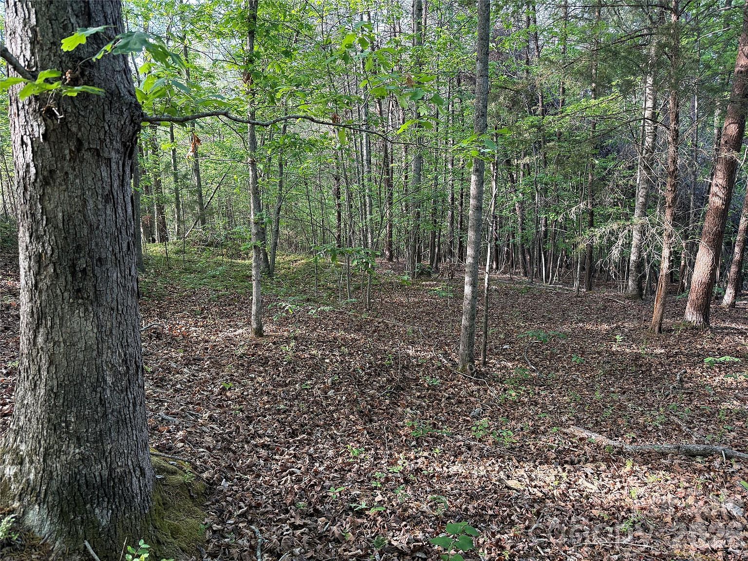 0 Shenandoah Dr #3B Spindale, NC 28160 - Thumbnail 4