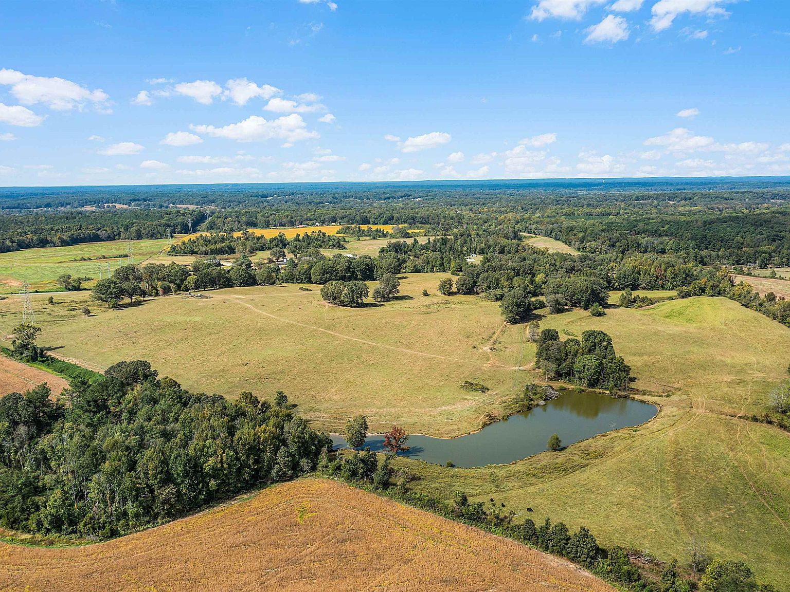 1 Timberlake Wildersville Rd Lexington, TN 38351 - Thumbnail 4