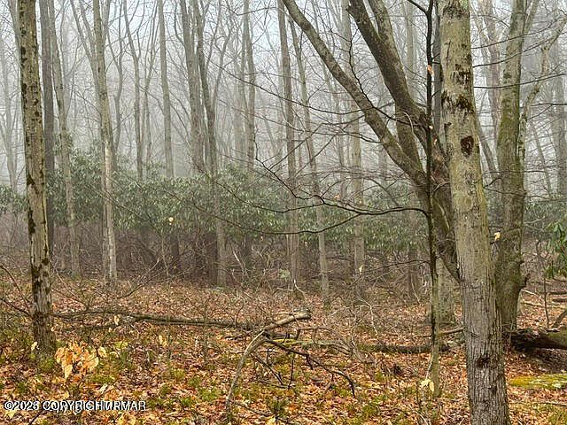 Lookout Point Rd Lot 91 Canadensis, PA 18325 - Thumbnail 4