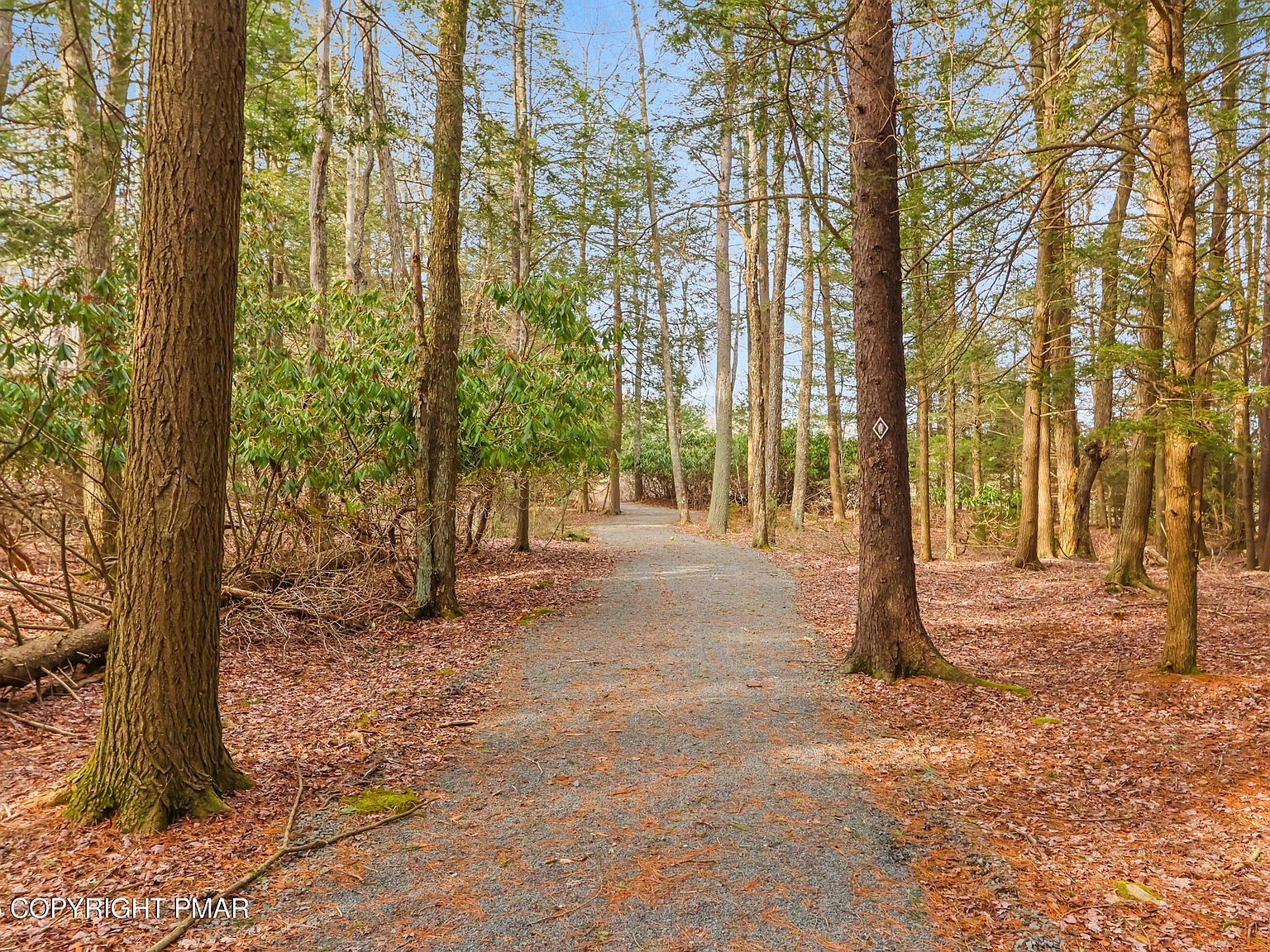 Onondaga Rd Long Pond, PA 18334 - Thumbnail 4