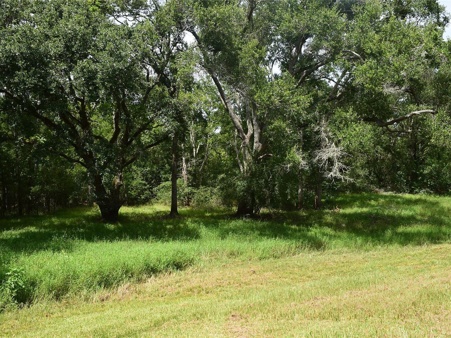 0 County Road 121 Rosharon, TX 77583 - Thumbnail 4