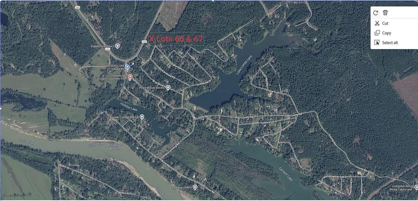0 Fm 2665 Goodrich, TX 77335 - Thumbnail 4