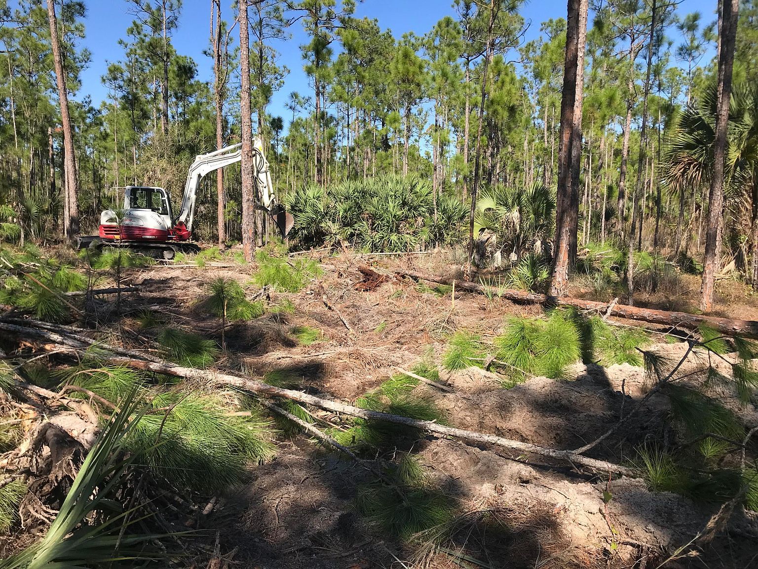 0 County Road 512 Fellsmere, FL 32948 - Thumbnail 4