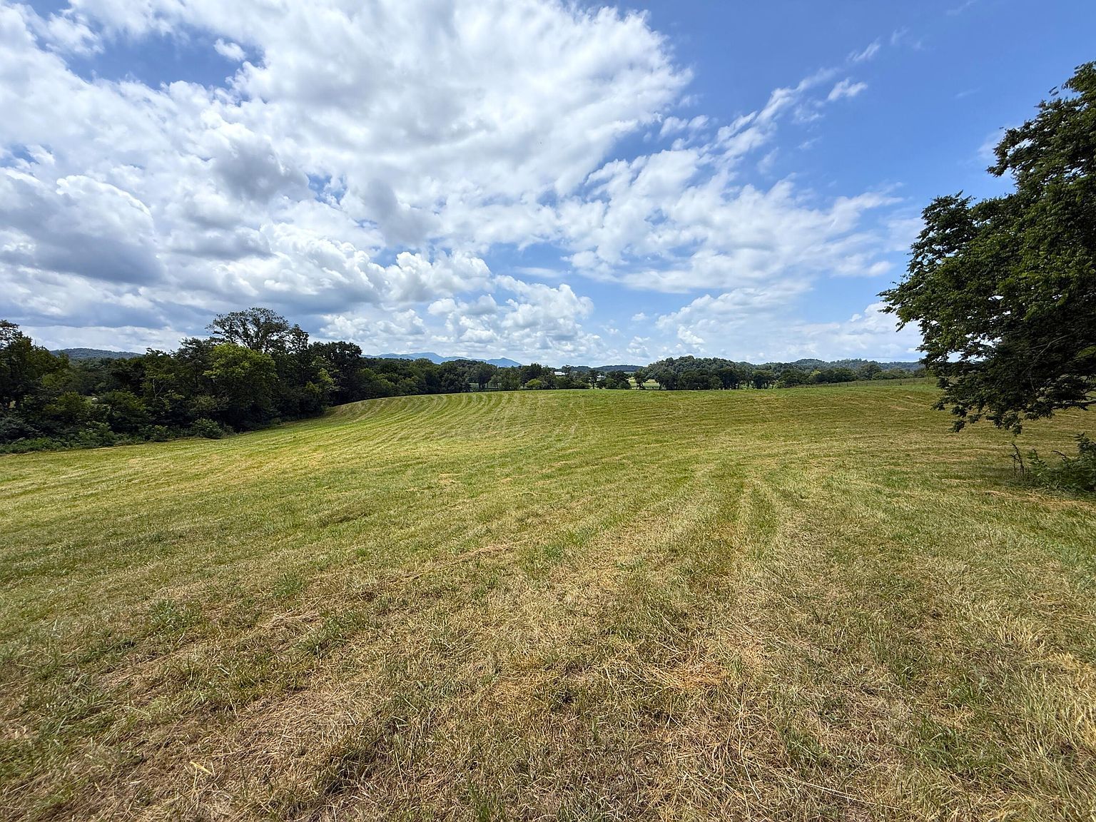 565 Highway 160 Newport, TN 37821 - Thumbnail 4