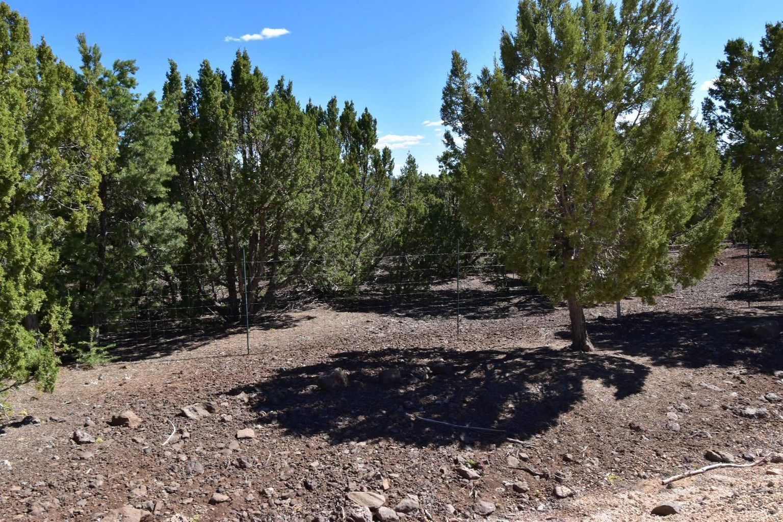 46 County Road 8140, Vernon, AZ 85940, USA - Thumbnail 4