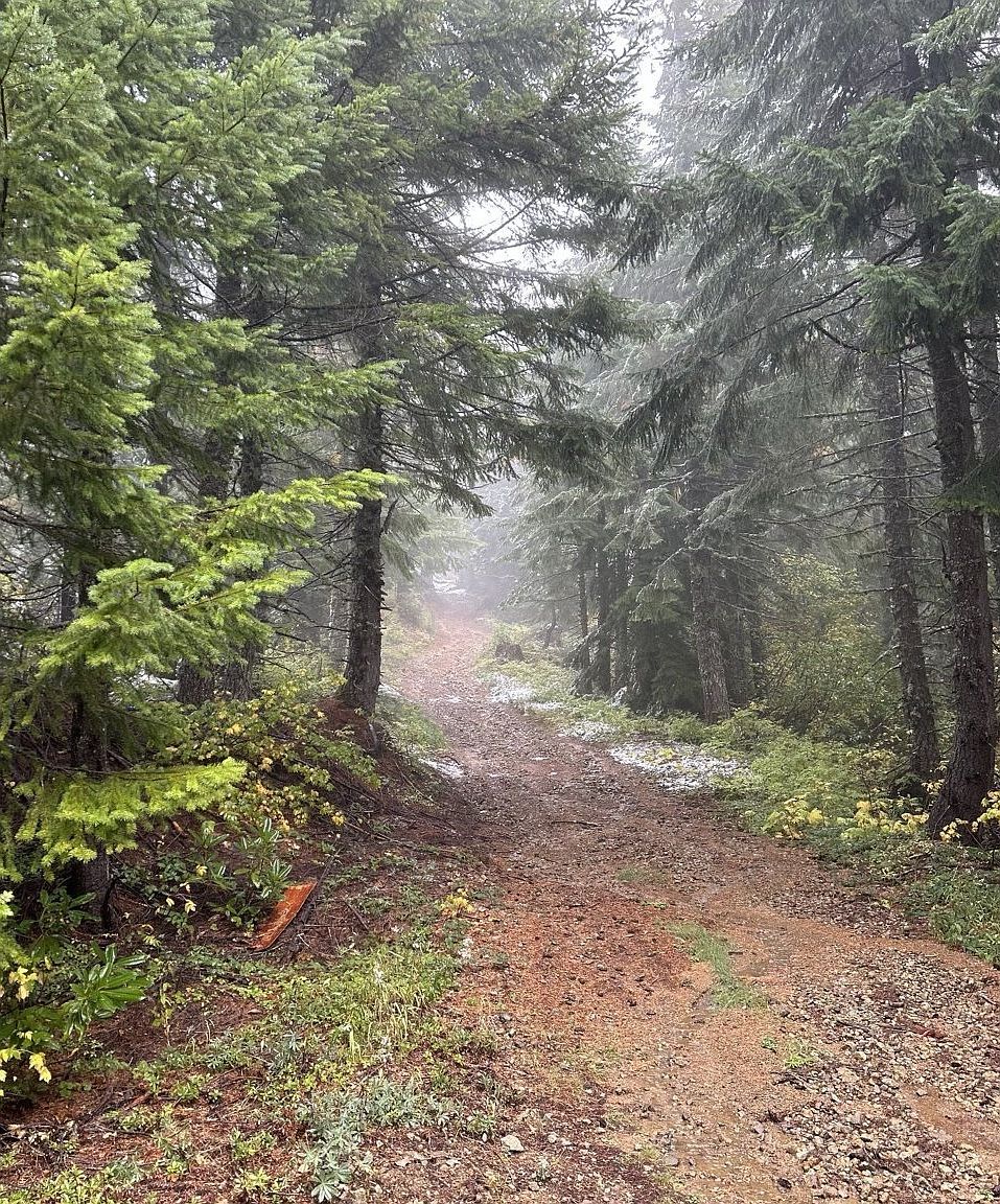 0 Calapooia Rd Sweet Home, OR 97386 - Thumbnail 4