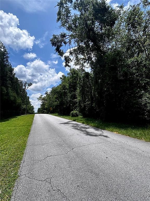 2406 N Pine Cone Ave LOT 67 Lecanto, FL 34461 - Thumbnail 4