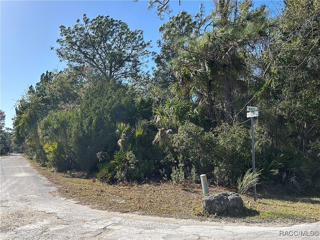 1172 N Lorri Ter Crystal River, FL 34429 - Thumbnail 4