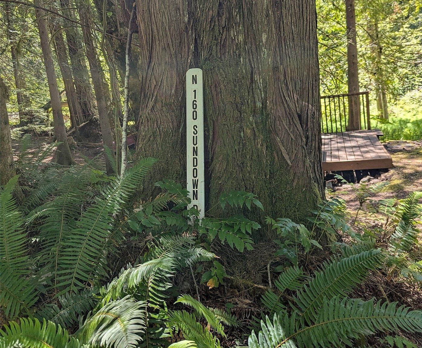 160 N Sundown Dr Hoodsport, WA 98548 - Thumbnail 4