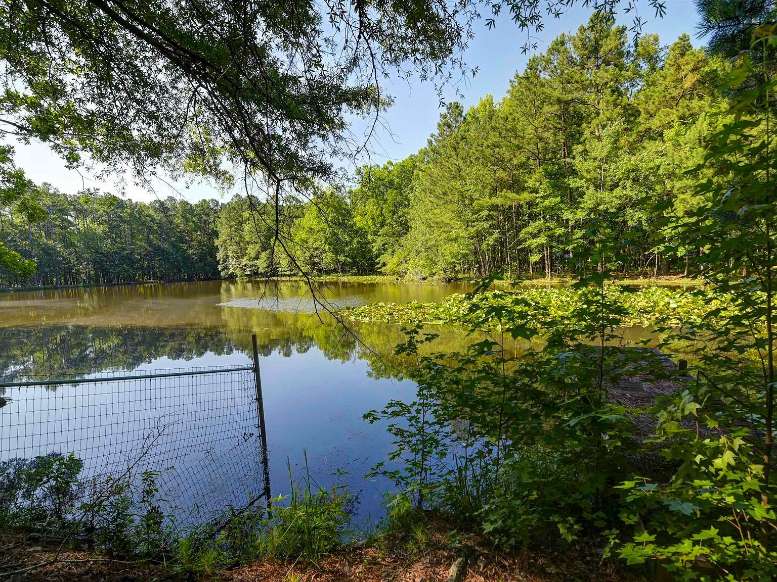 730 Stoneridge Rd Ridgeway, SC 29130 - Thumbnail 4