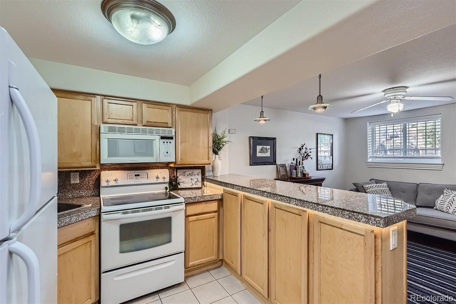 1833 N Williams St APT 101 Denver, CO 80218 - Thumbnail 4