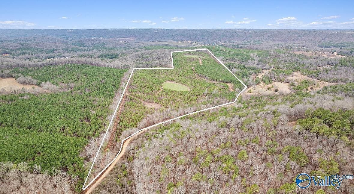 1 County Road 288 Collinsville, AL 35961 - Thumbnail 4