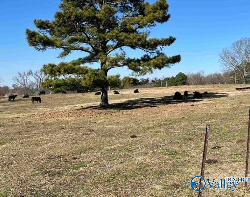 38.74 Walter Whitt Rd Boaz, AL 35956 - Thumbnail 4