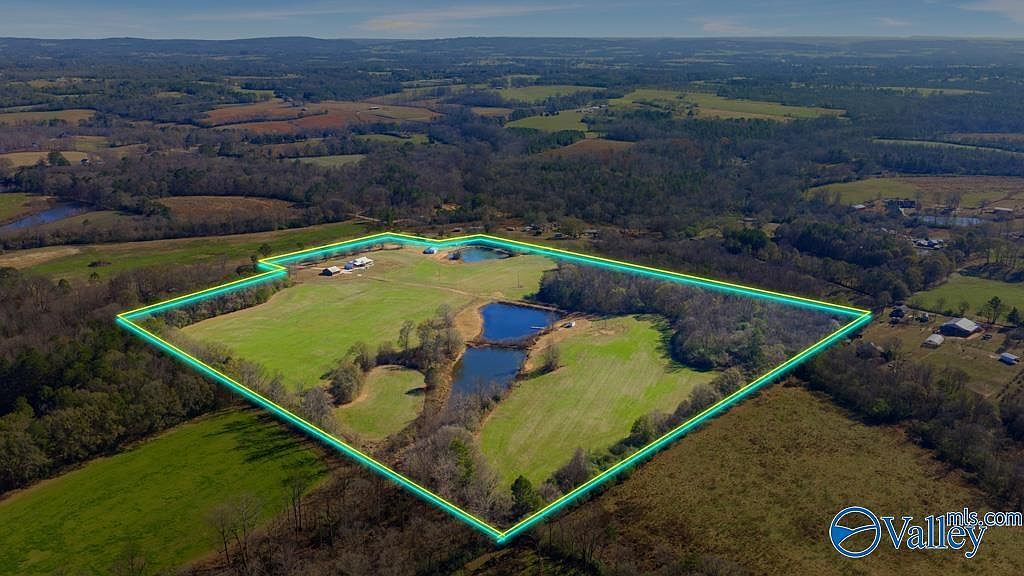 1283 Moman Rd Horton, AL 35980 - Thumbnail 4