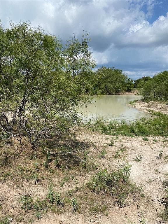 33 Hadley Creek Bnd Huntsville, TX 77320 - Thumbnail 4