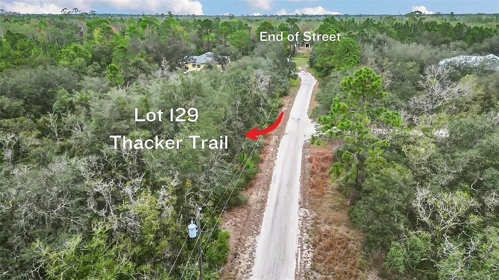 Thacker Trl #129 Kissimmee, FL 34747 - Thumbnail 4