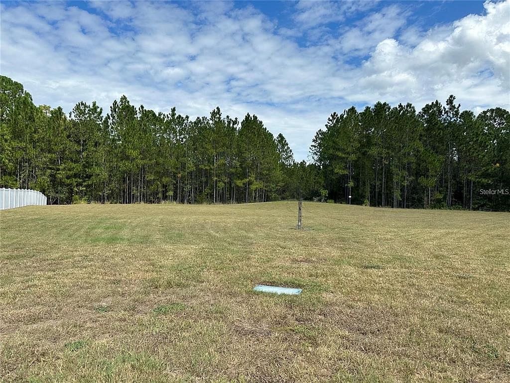 0 Shooting Star Ct #42 New Pt Richey, FL 34655 - Thumbnail 4