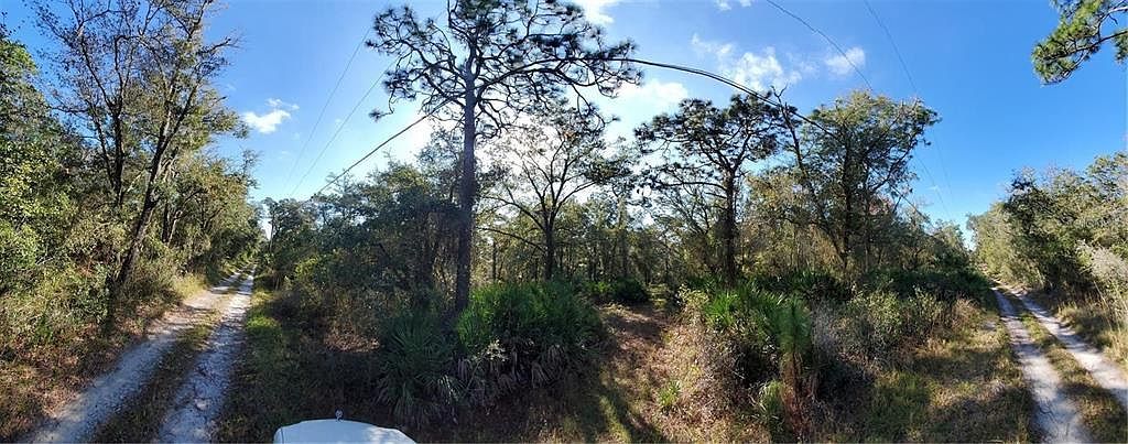 8738 Lindy Ln #2 New Pt Richey, FL 34655 - Thumbnail 4