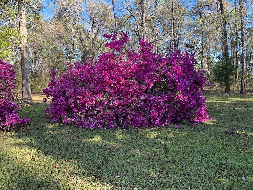 24415 NW 90th Pl Alachua, FL 32615 - Thumbnail 4