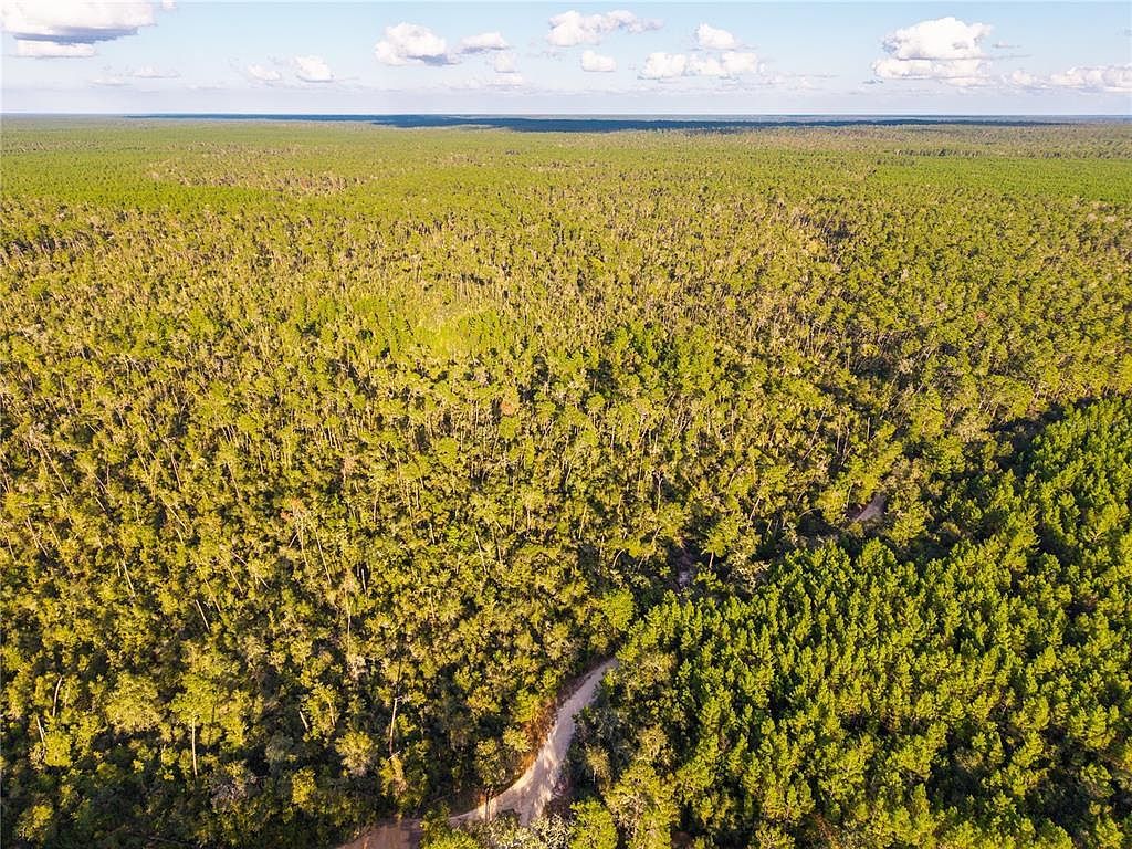 Nicatoon Retreat Umatilla, FL 32784 - Thumbnail 4