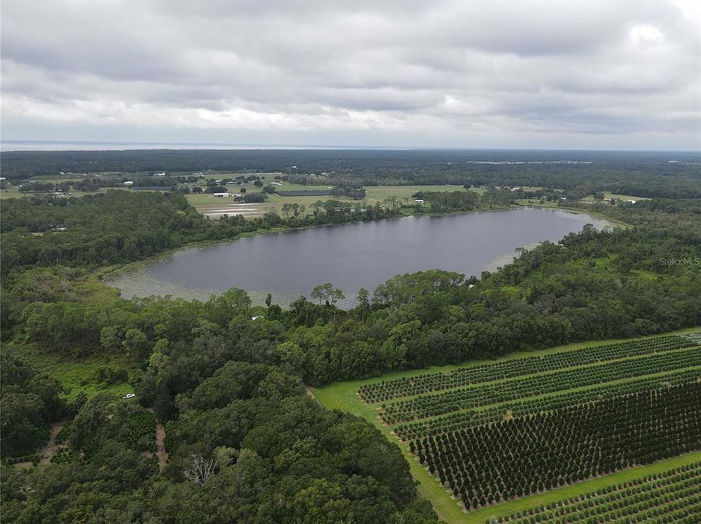 Turkey Shoot Rd LOT 16 Pierson, FL 32180 - Thumbnail 4