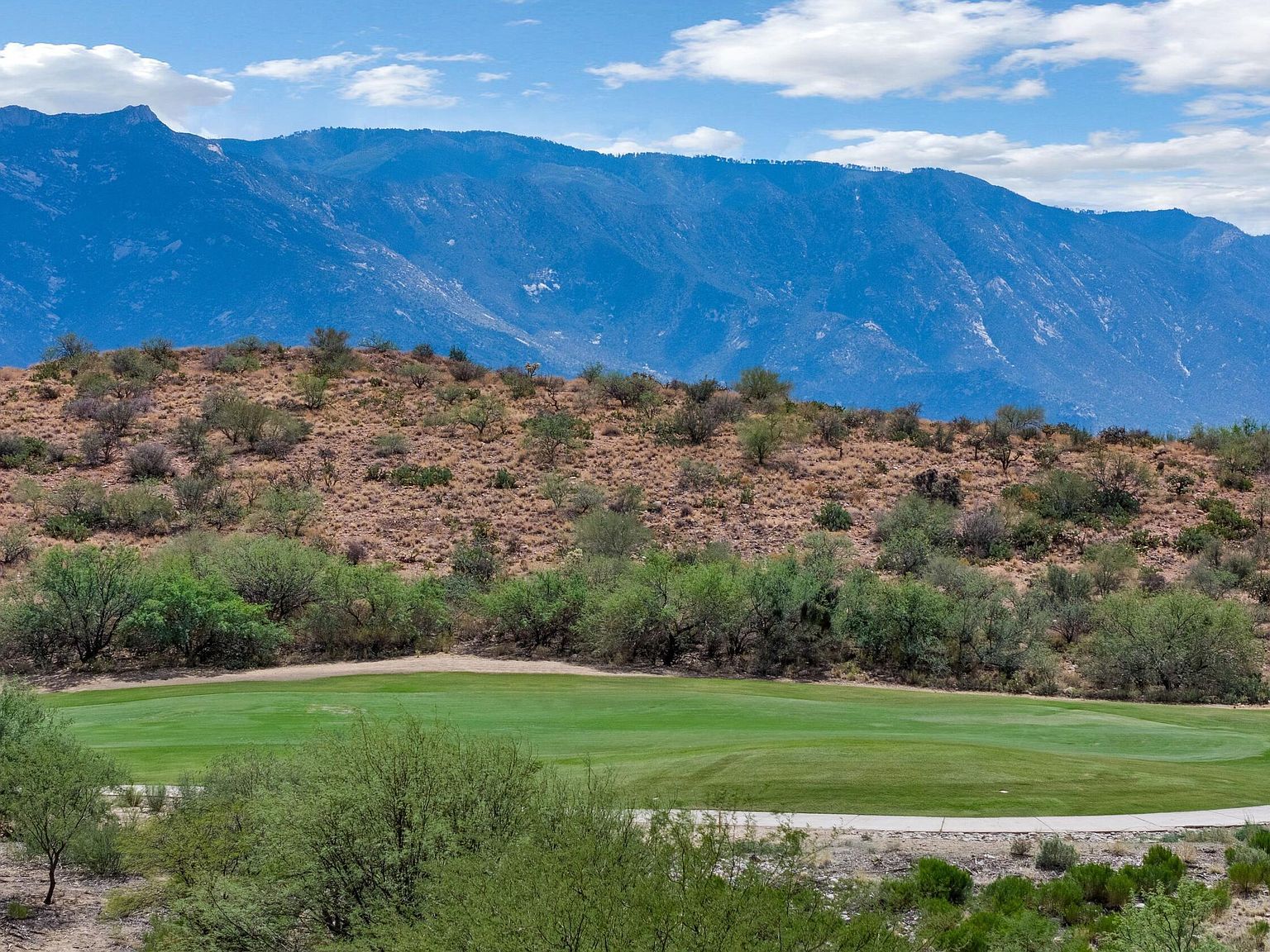 62105 E Valley Crest Ct Saddlebrooke, AZ 85739 - Thumbnail 4