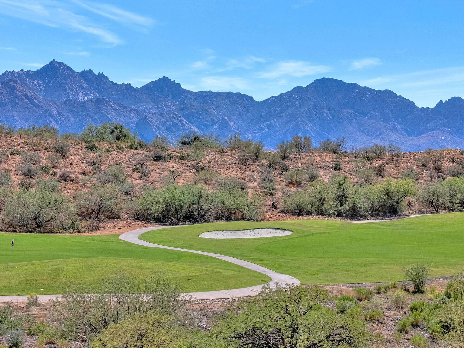 62165 E Valley Crest Ct Saddlebrooke, AZ 85739 - Thumbnail 4