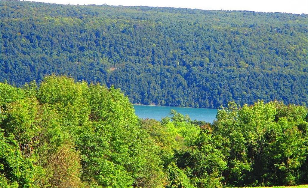 0 County Highway 28 Cooperstown, NY 13326 - Thumbnail 4