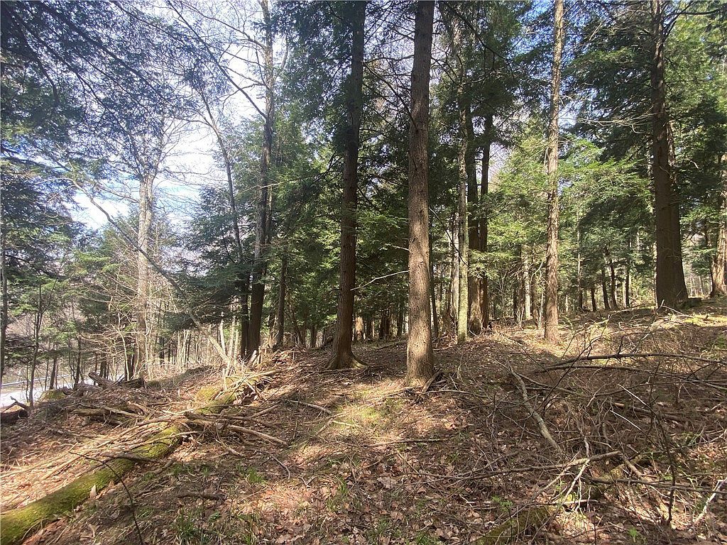 LOT A Piermott Ln #45 Hartwick, NY 13348 - Thumbnail 4