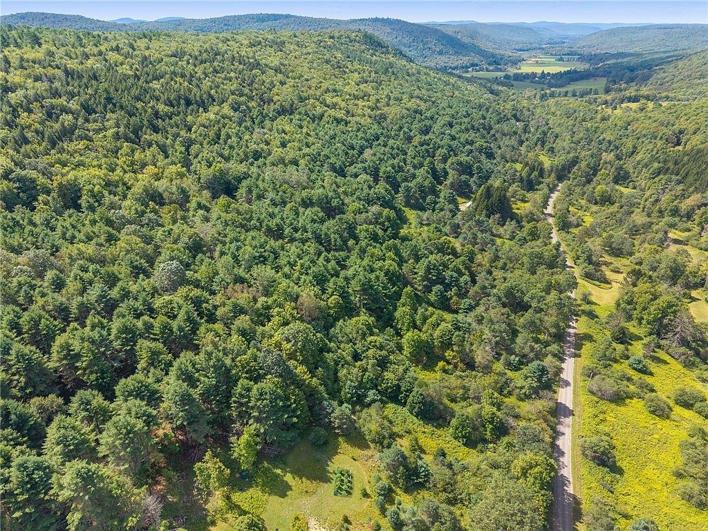 212 Morrell Rd Worcester, NY 12197 - Thumbnail 4