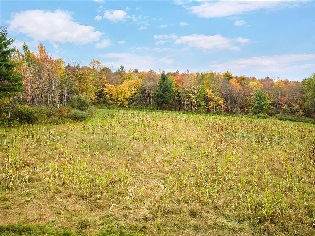 734 Post Rd #4 Franklin, NY 13775 - Thumbnail 4