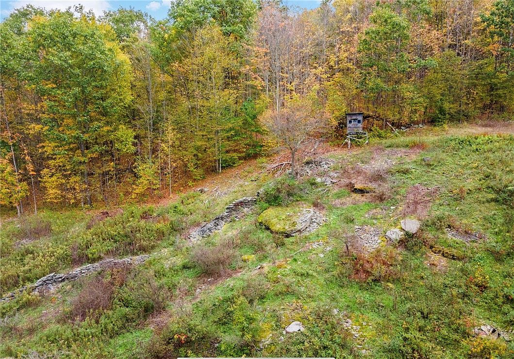 734 Post Rd #2 Franklin, NY 13775 - Thumbnail 4