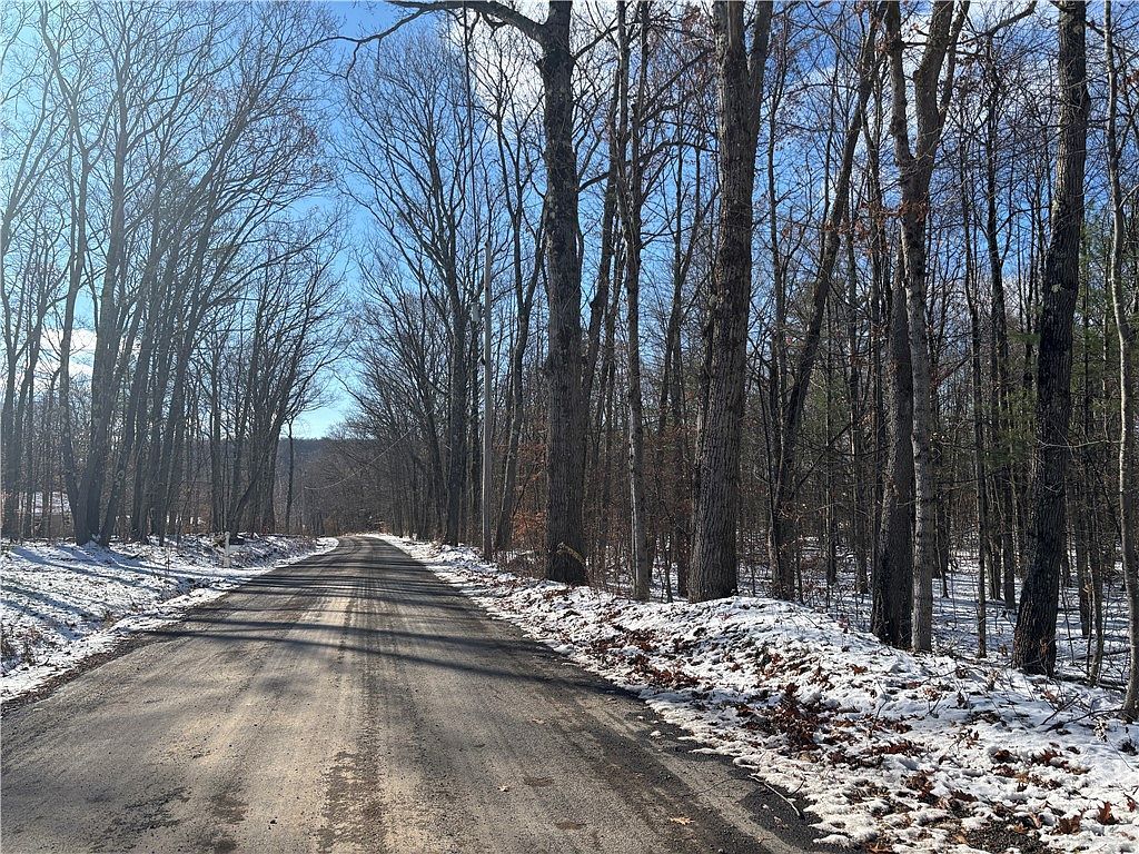 Stanley Roseboom Rd Schenevus, NY 12155 - Thumbnail 4