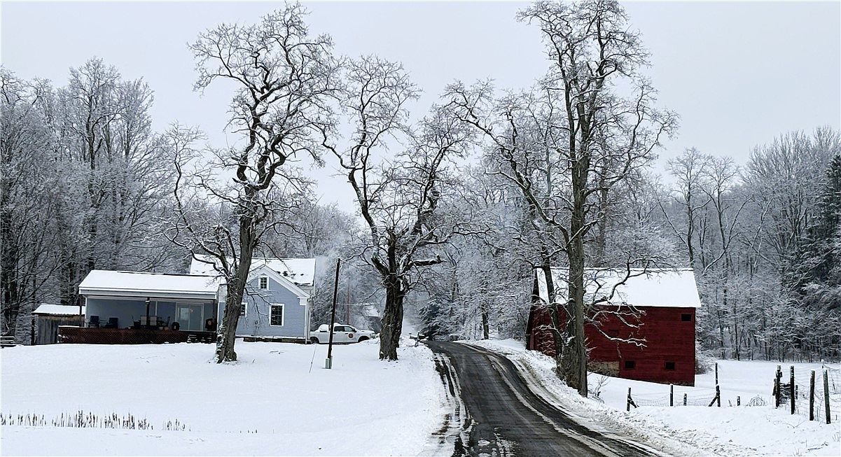 155 John Hill Rd Burlington Flats, NY 13315 - Thumbnail 4