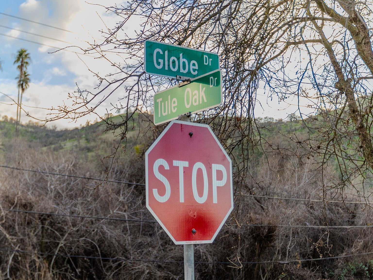 0 Tule Oak Dr Springville, CA 93265 - Thumbnail 4