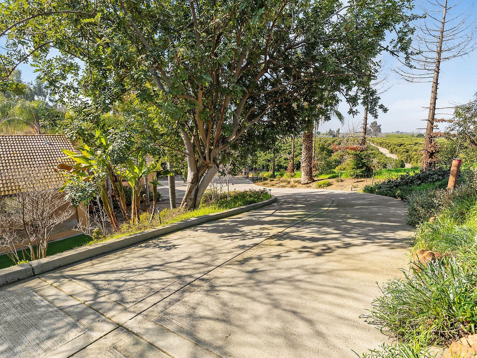 915 S Strathmore Ave Lindsay, CA 93247 - Thumbnail 4