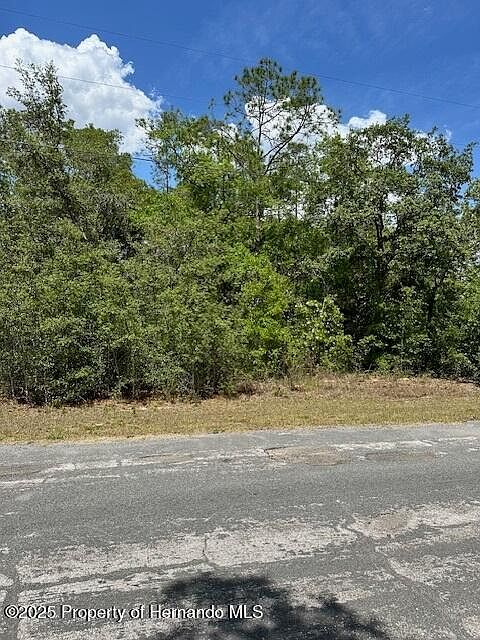 2235 W Summer Pl Citrus Springs, FL 34434 - Thumbnail 4