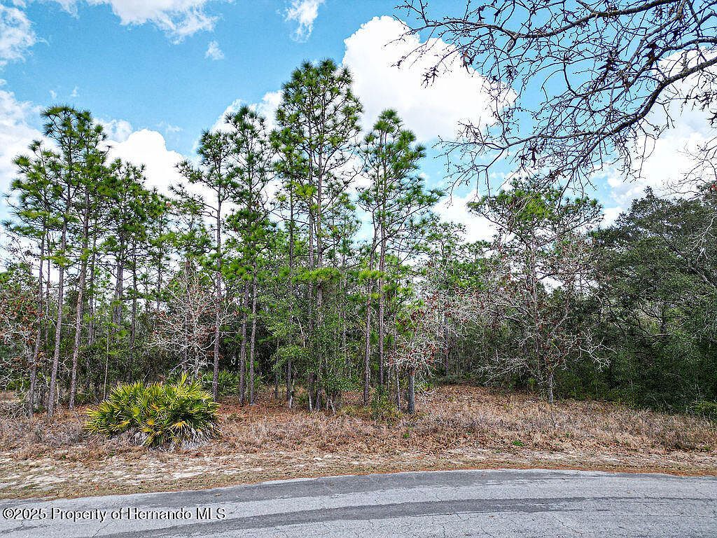 32 Speceberry Cir Homosassa, FL 34446 - Thumbnail 4