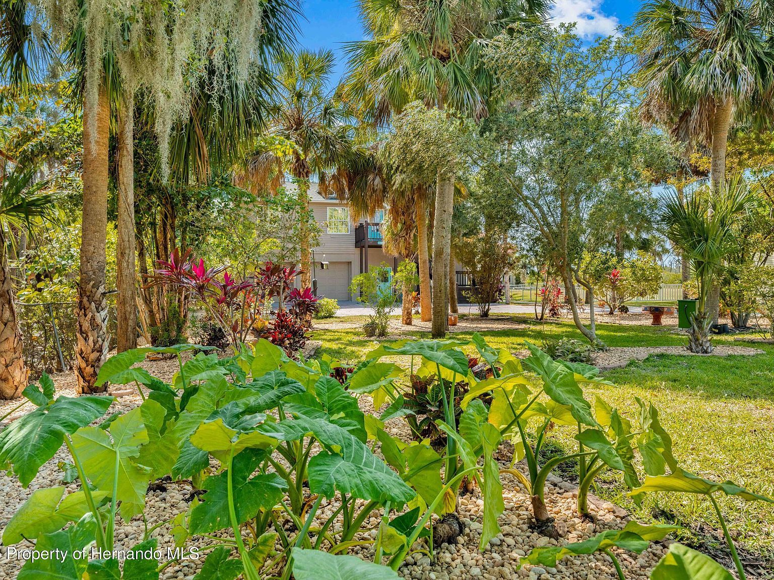 8711 Betty St Port Richey, FL 34668 - Thumbnail 4