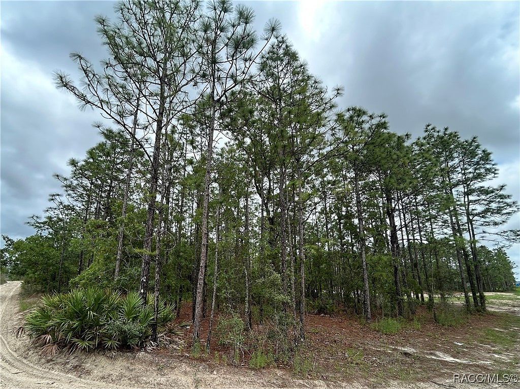 0 Mellon Rd Brooksville, FL 34614 - Thumbnail 4