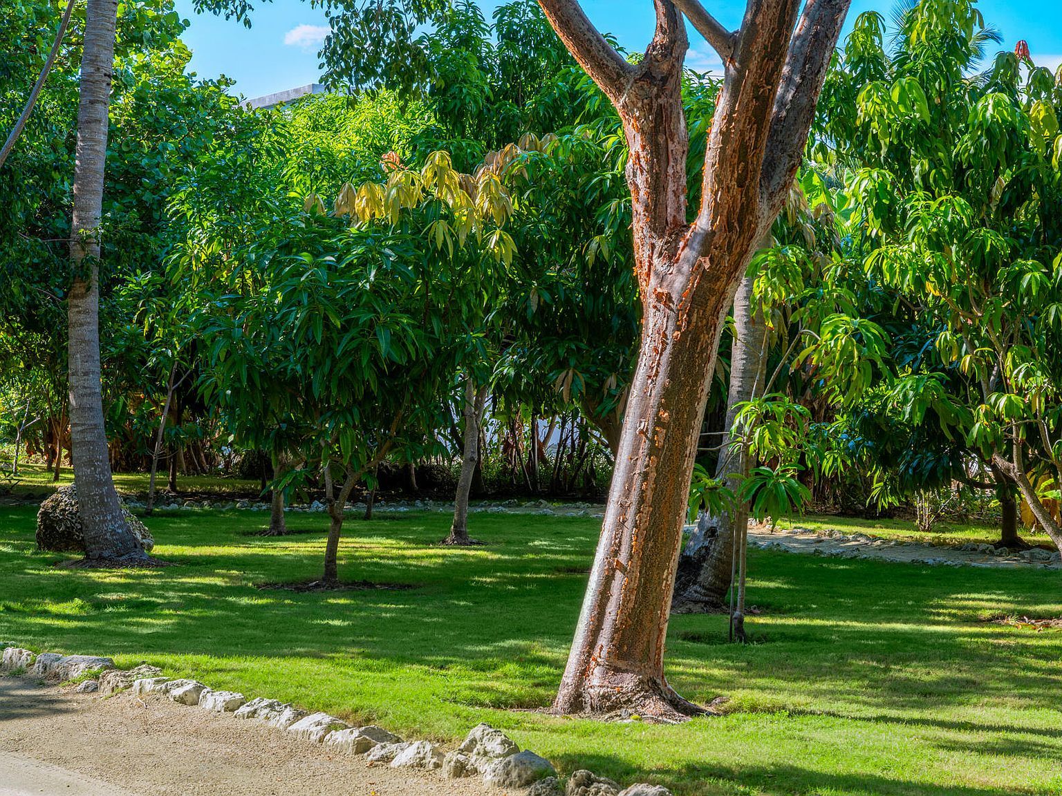 75280 Overseas Hwy Islamorada, FL 33036 - Thumbnail 4