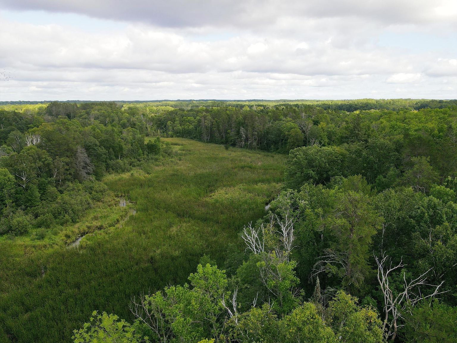 PARCEL 3 State Highway 87 SW Backus, MN 56435 - Thumbnail 4