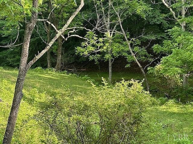 303 Harrison Creek Rd Amherst, VA 24521 - Thumbnail 4