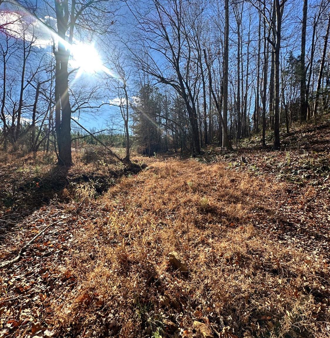 LOT -2B Police Tower Rd Appomattox, VA 24522 - Thumbnail 4