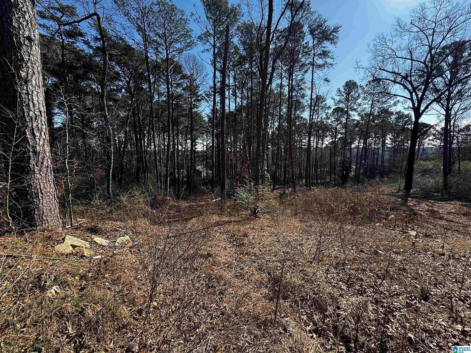 250 Twin Lawn Dr #1 Birmingham, AL 35217 - Thumbnail 4