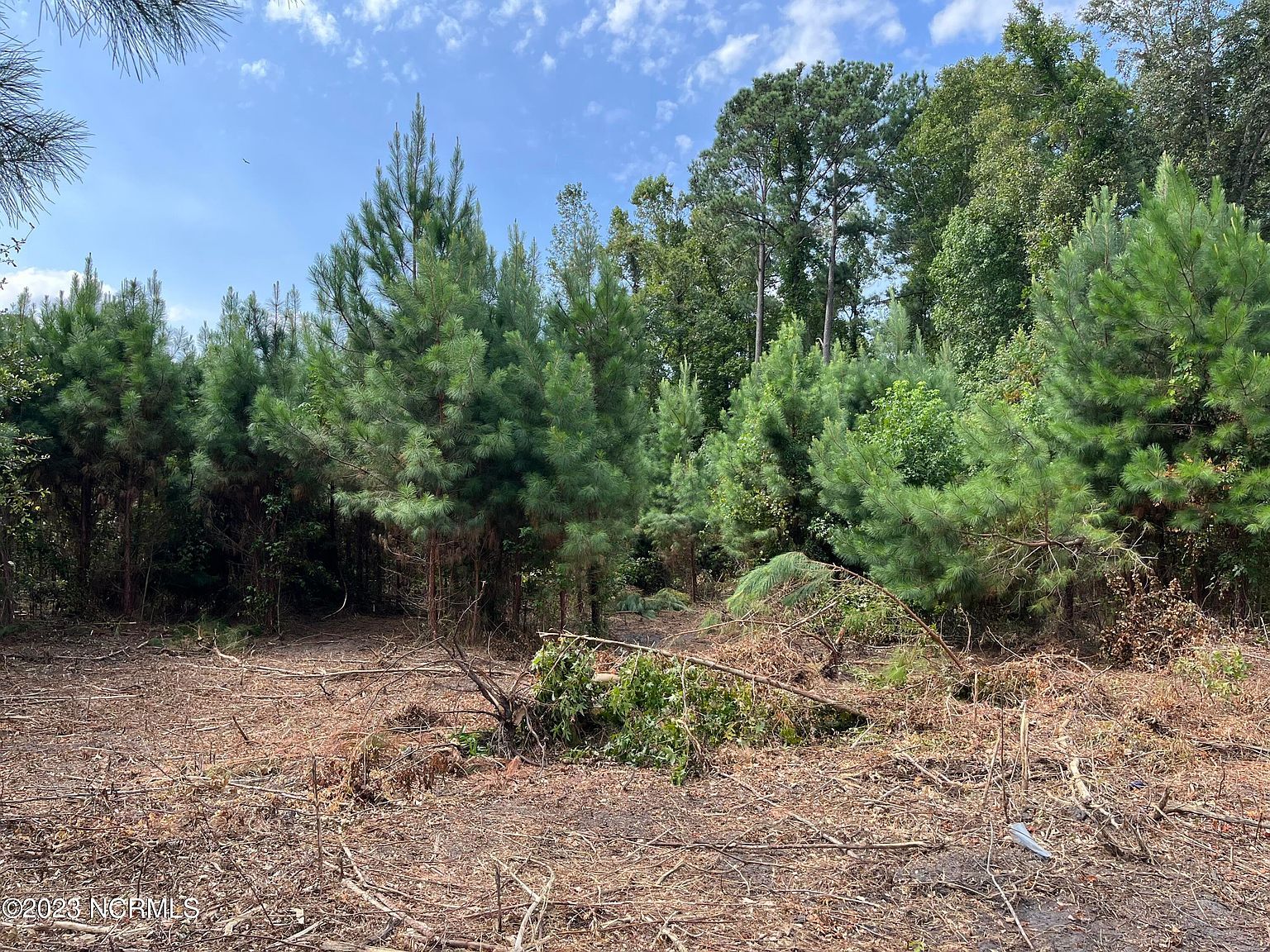 0 Lake Cole Rd Midway Park, NC 28544 - Thumbnail 4