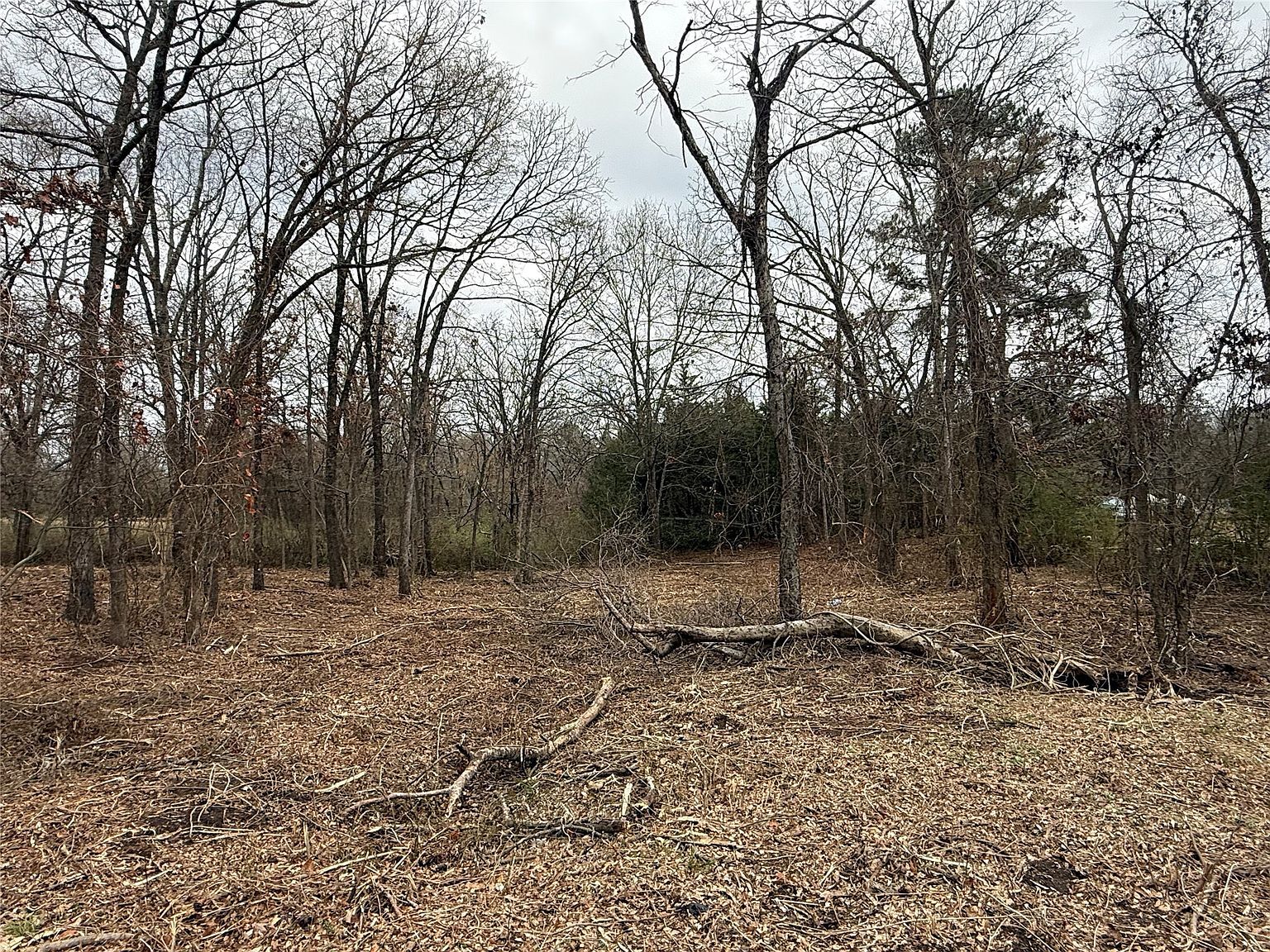LOT 7 N Florence St Grand Saline, TX 75140 - Thumbnail 4