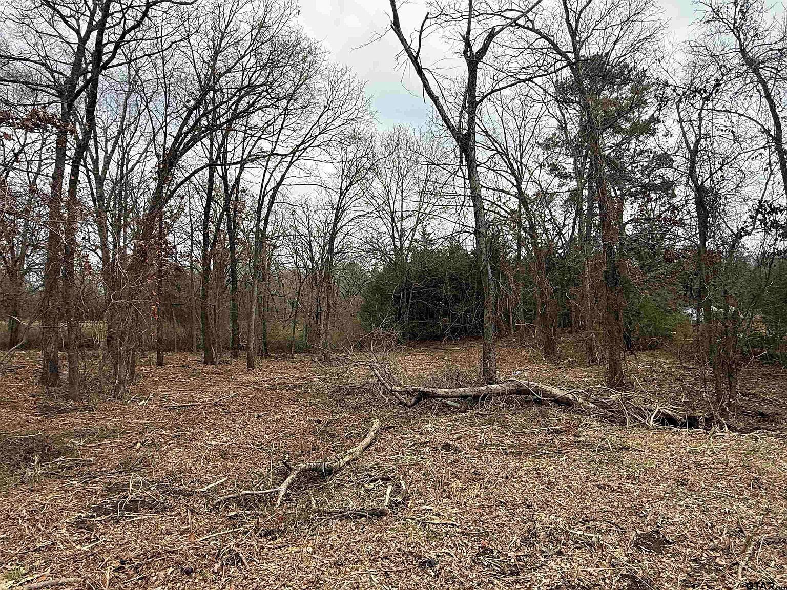 N Florence St Lot 8 Grand Saline, TX 75140 - Thumbnail 4