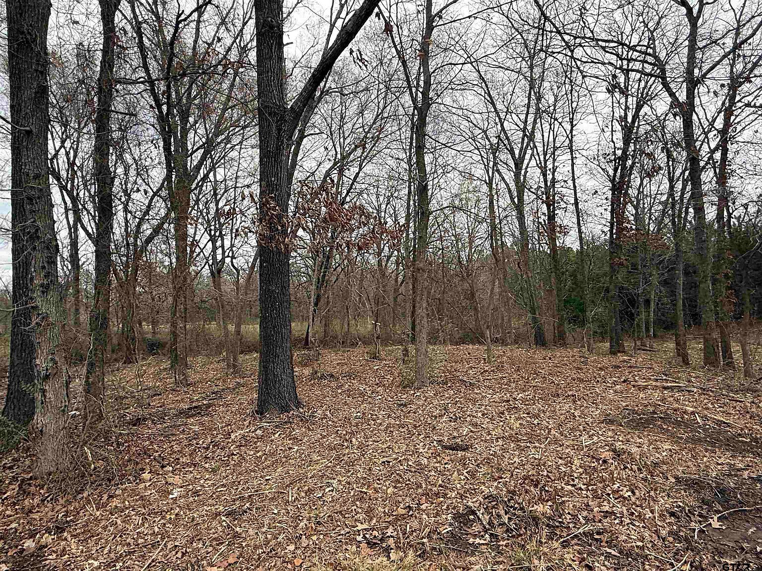 N Florence St Lot 7 Grand Saline, TX 75140 - Thumbnail 4